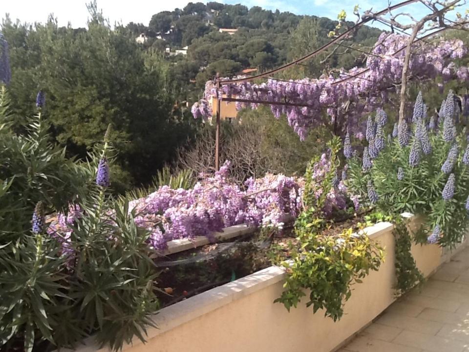 Villa L'Attalaya Ensues-la-Redonne Exterior foto